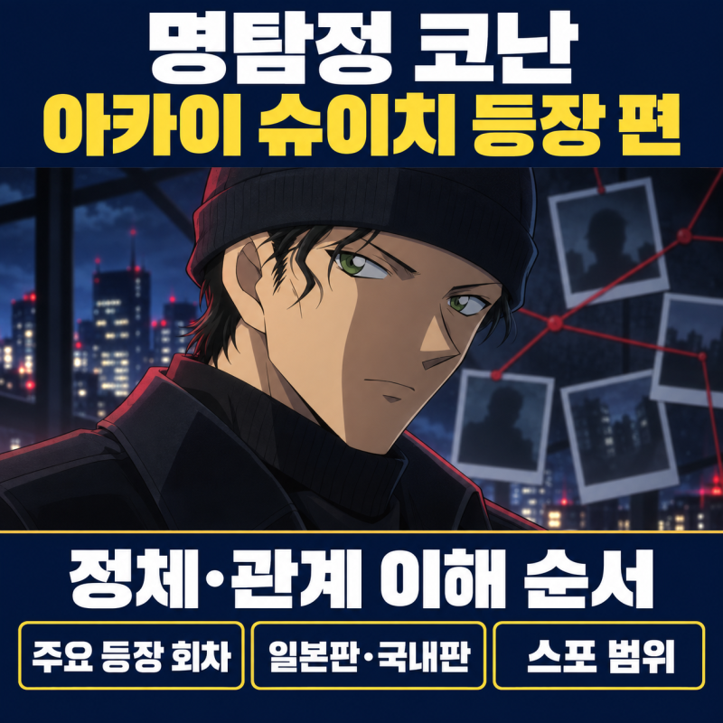 명탐정 코난 아카이 슈이치 등장 편, 정체와 관계를 이해하는 순서