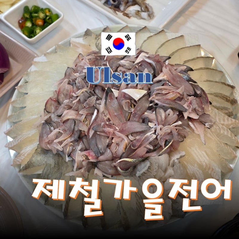 울산 야음동 맛집 제철 전어회 전어구이 맛있는 수암회수산시장 초장집 어달리수산 장생포....
