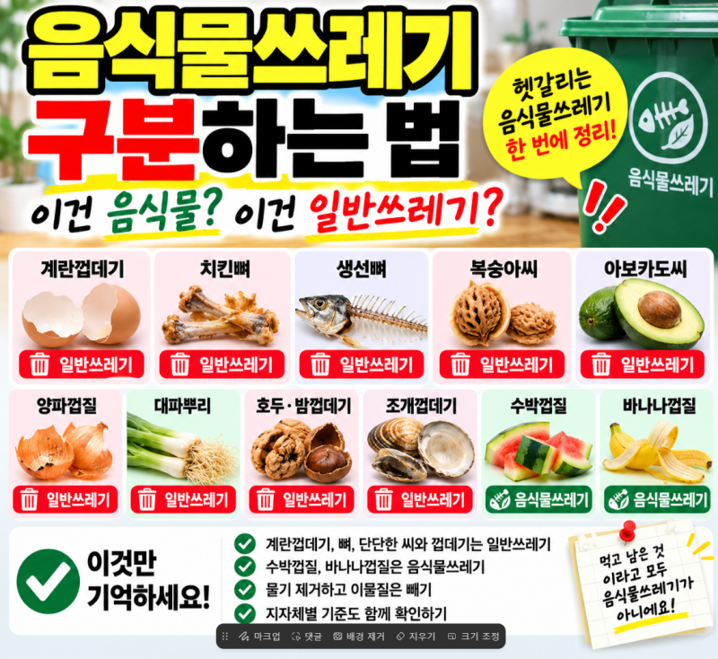 음식물쓰레기 구분｜계란껍데기·치킨뼈·과일씨·양파껍질 어디에 버릴까?