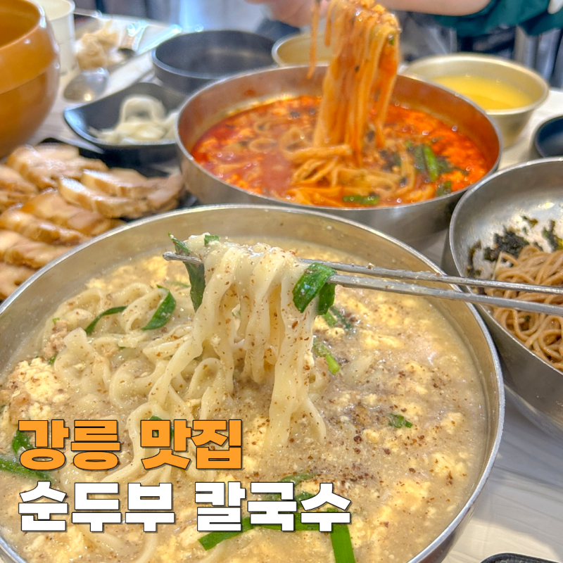 강릉 칼국수 맛집 고씨네 순두부 해장 아침식사 애견동반 가능