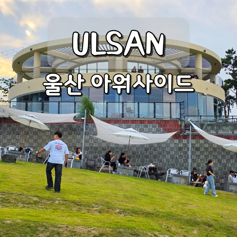 울산 아워사이드 간절곶 근처 애견 동반 카페 반려견 잔디운동장