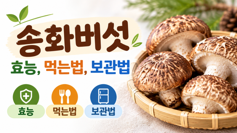 송화 버섯이란? 효능부터 부작용, 보관법 및 맛있는 요리법까지