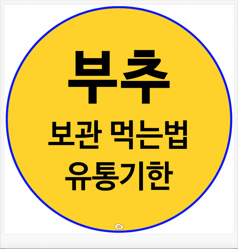 부추 유통기한 얼마나 될까? 보관법 씻는법 먹는법 총정리