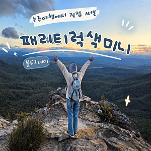 패리티 럭색 미니 블루그레이 후기, 호주 여행에서 직접 써본 여행용 백팩