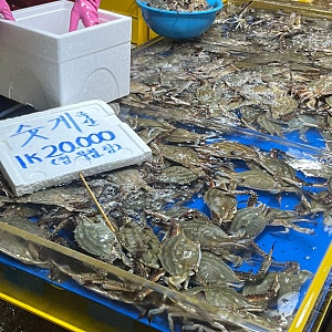 가을 숫 꽃게 제철 시기 | 연안부두 인천종합어시장 주차 꽃게찜 시간 웅진상회