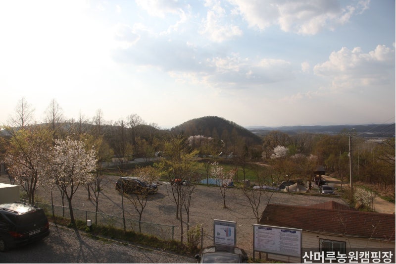파주 오토캠핑 가볼만한곳 산머루농원캠핑장 — 와이너리·수영장·체험 시설 완벽 가이드