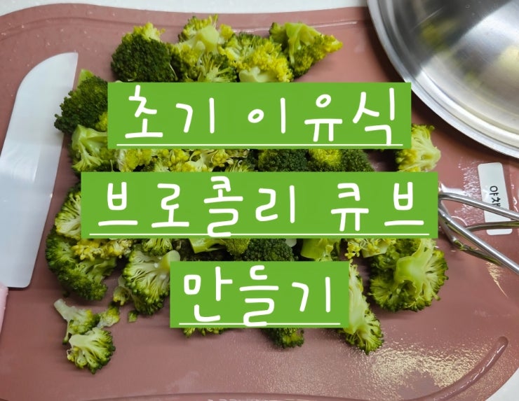 초기 이유식 브로콜리 큐브 만들기세척부터 찌는 시간, 갈아서 10g씩 소분하기