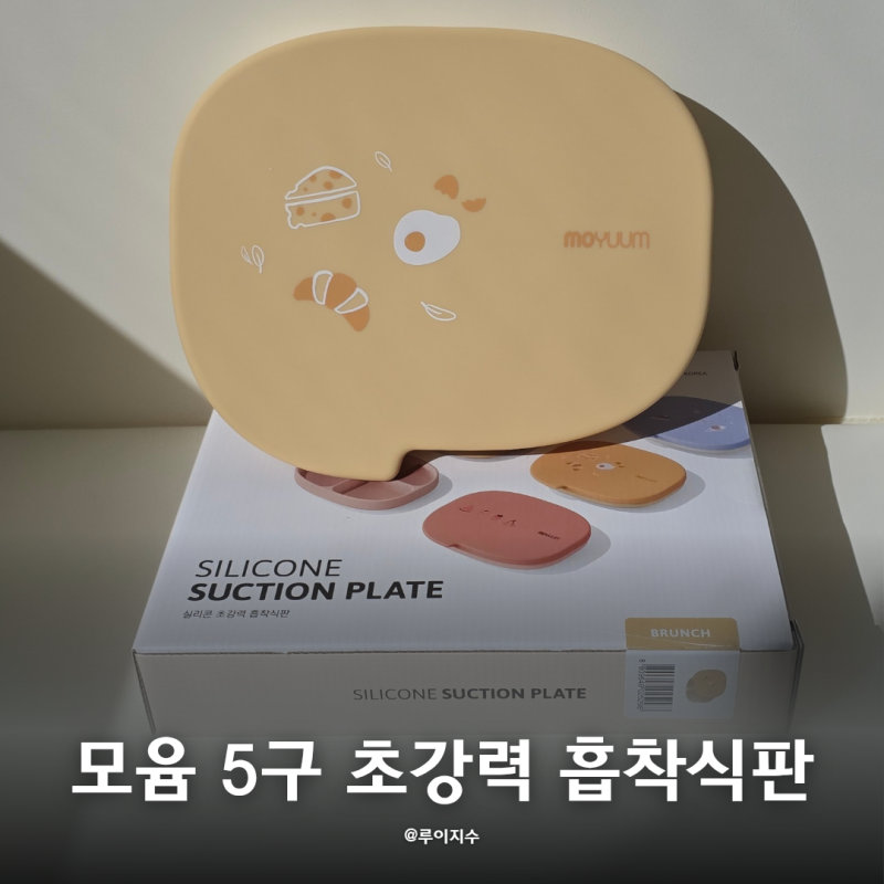 모윰 5구 초강력 흡착식판 자기주도이유식 필수템 추천