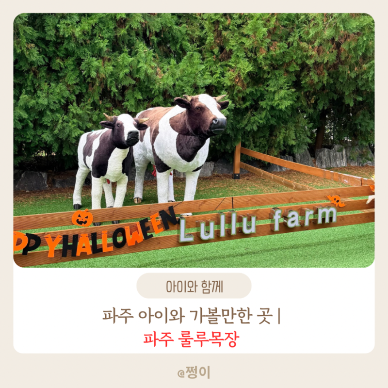 파주 아이와 가볼 만한 곳 | 아이들과 동물 먹이주기 감자캐기 체험까지 파주 룰루목장