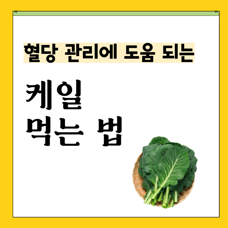 케일 효능 당뇨 먹는법 부작용
