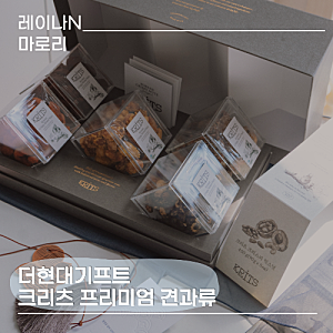 더현대기프트에서 만난 크리츠 프리미엄 견과류 명절 선물세트 추천