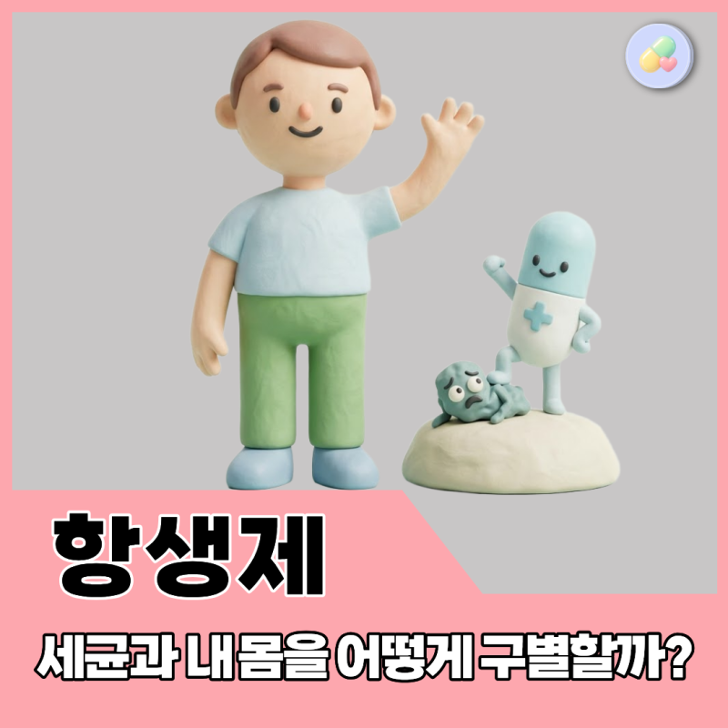 세균을 죽이는 항생제, 왜 사람은 안 죽을까? 약사가 알려주는 선택적 독성