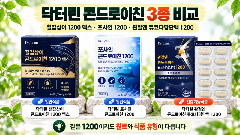 닥터린 콘드로이친 3종 비교｜철갑상어·포사인·뮤코다당단백 1200mg, 무엇이 다를까?