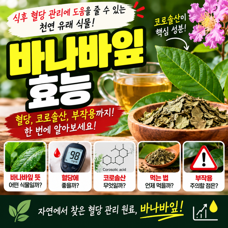 바나바잎 효능, 혈당에 좋을까? 코로솔산부터 부작용·먹는 법까지