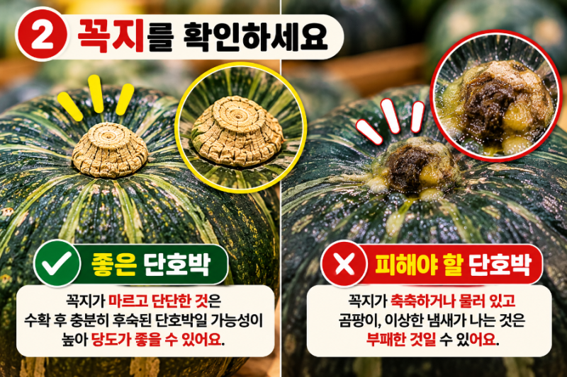 맛있는 단호박 고르는 법｜달고 포슬포슬한 단호박은 이것부터 보세요