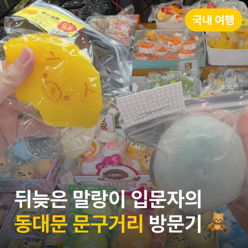 뒤늦은 말랑이 입문자의 동대문 문구·완구거리 방문기