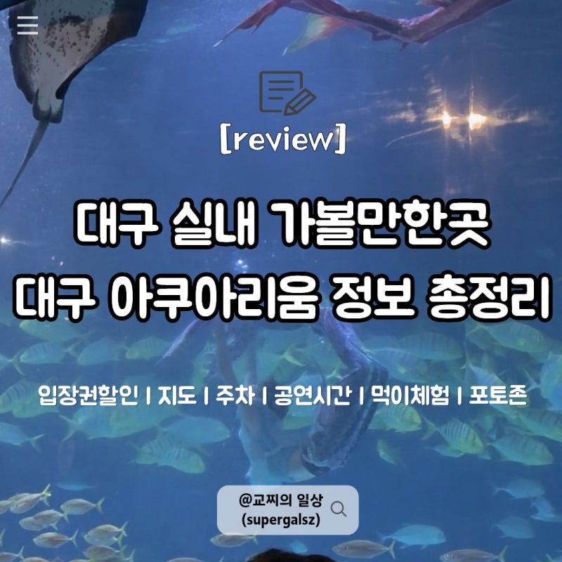 대구 아쿠아리움 후기ㅣ아이랑 가볼만한곳, 입장권 할인·공연시간·먹이체험