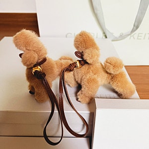 수지 롯데몰 찰스앤키스 CHARLES & KEITH 롱부츠,앵클부츠, 키링 구매후기