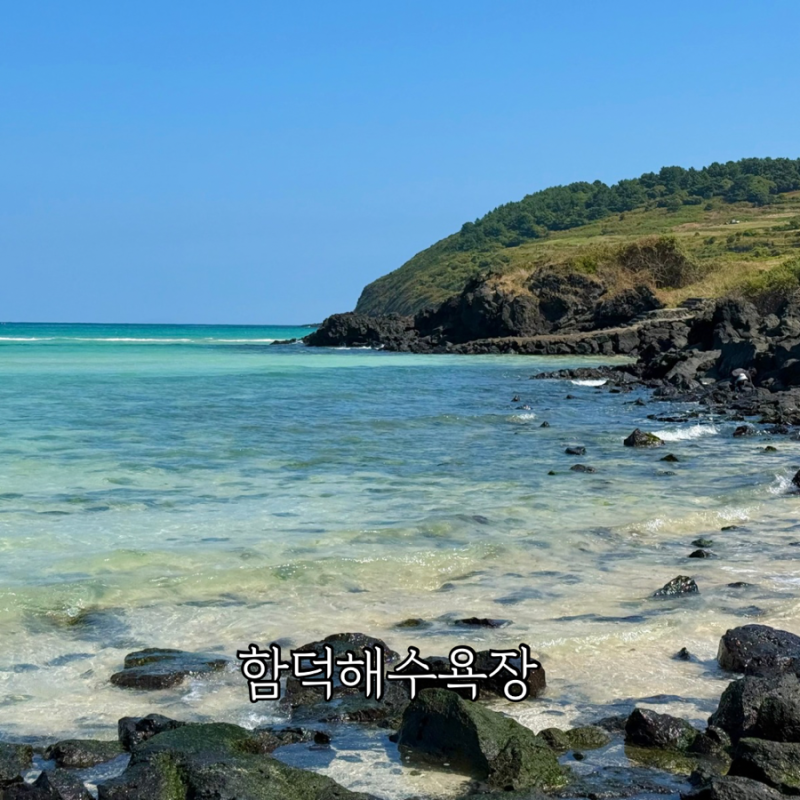 Jeju Hamdeok Beach's White Barrier! Everything About the Installation Period and Reason for the Sand Barrier