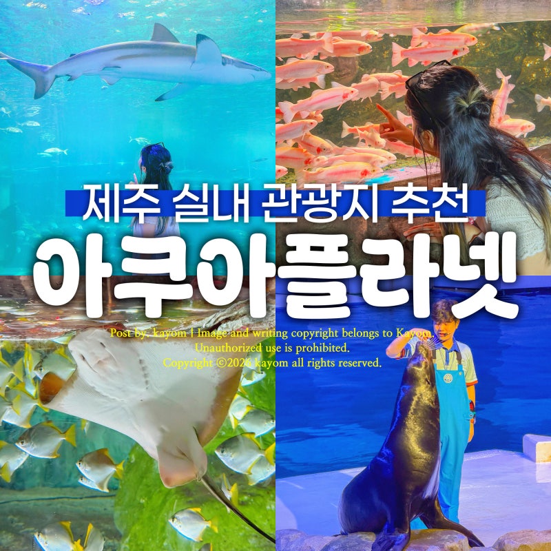 제주실내관광지 아쿠아플라넷 제주 할인 팁, 공연시간, 아이와 가볼만한곳 추천