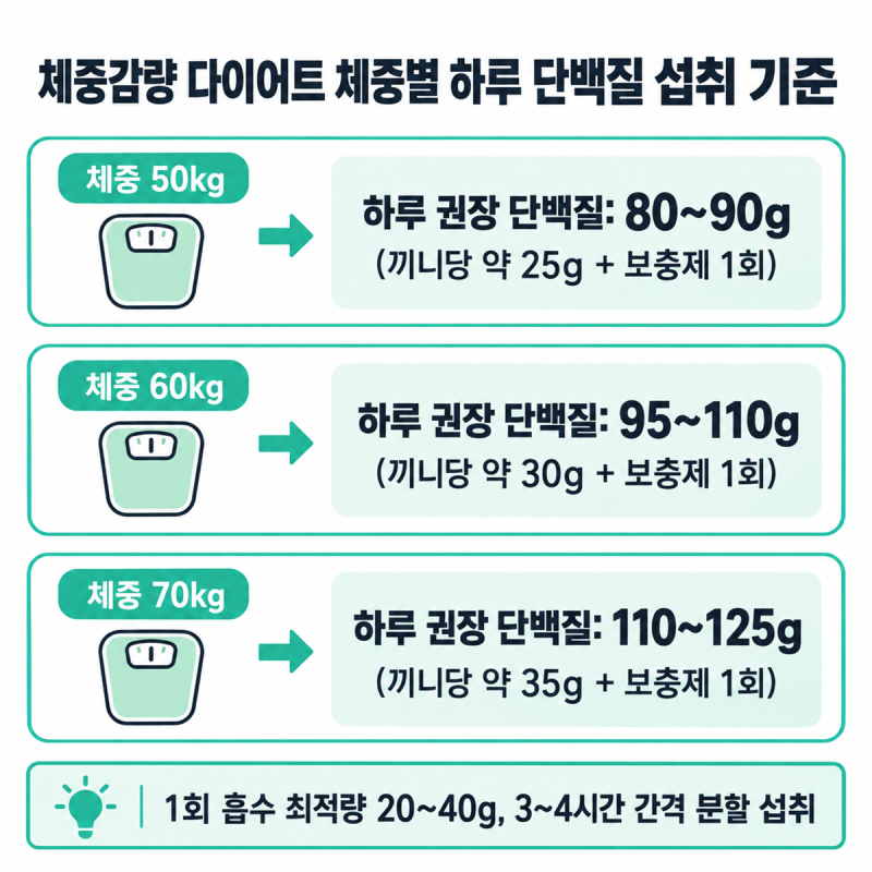 단백질 보충제 WPC WPI 차이 총정리: 유당불내증 선택법과 다이어트 섭취 기준