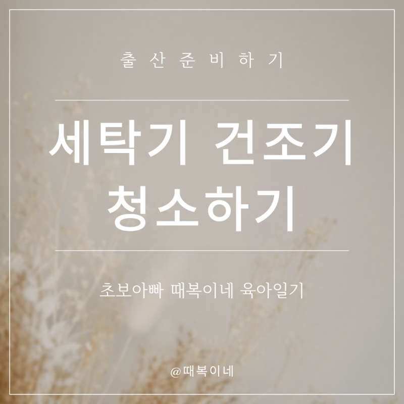 출산 전 세탁기·건조기 셀프 청소법(삼성 워시타워 )ㅣ출산준비 청소 1탄