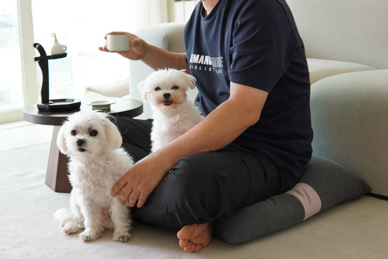 의자방석 겸 쿠션 역할도 하는 집앤콕 아문젠 방석