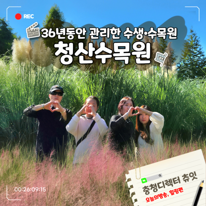 태안 9월 추석 명절 가족여행 가볼만한 곳 청산수목원 입장료 14000원 가을 팜파스 핑크뮬리 ....