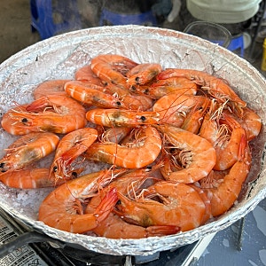 안산 대하구이 맛집 초장집 부곡점 내돈내산 솔직후기 | 애견동반·콜키지 가능