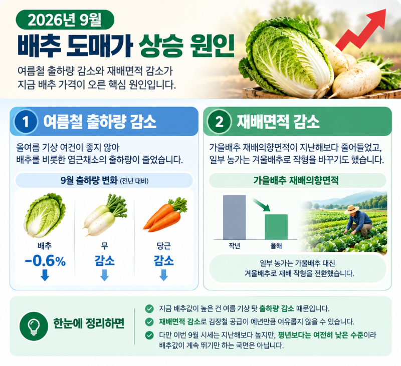 김장 재료 지금 사면 손해ㅣ전통시장 상인의 세일 타이밍 가이드