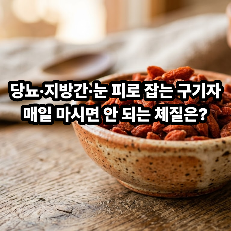 구기자 효능과 부작용 당뇨·지방간에 좋은 구기자차, 매일 마시면 안 되는 체질은?
