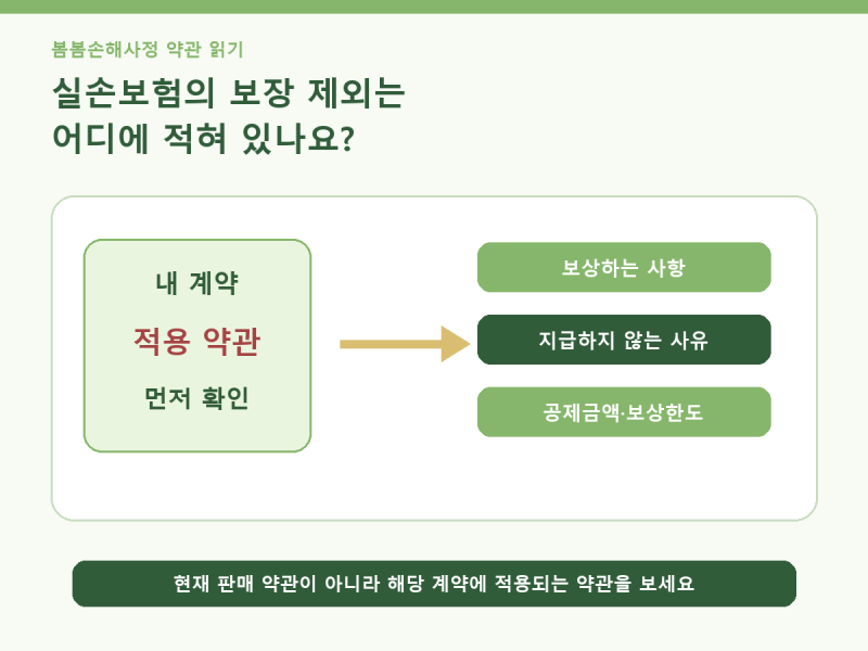 실손보험의 보장 제외는 어디에 적혀 있나요?