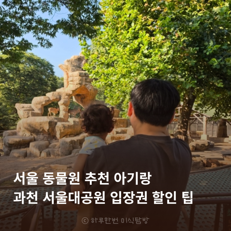 과천 서울대공원 아기랑 동물원 리프트패키지 할인 주차장 코끼리열차