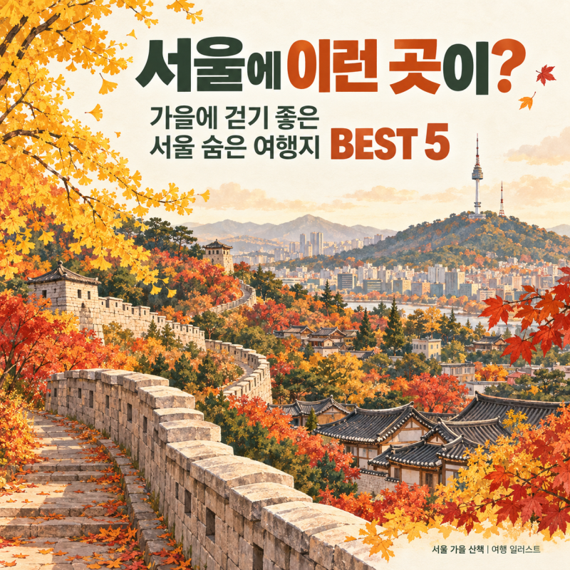 10월 국내 가을축제 BEST 5｜불빛·단풍·국화까지 가을여행 총정리