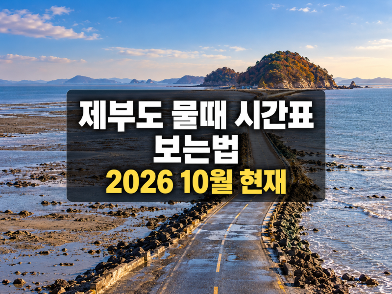 제부도 물때 시간표 보는법 202610월 현재 기준