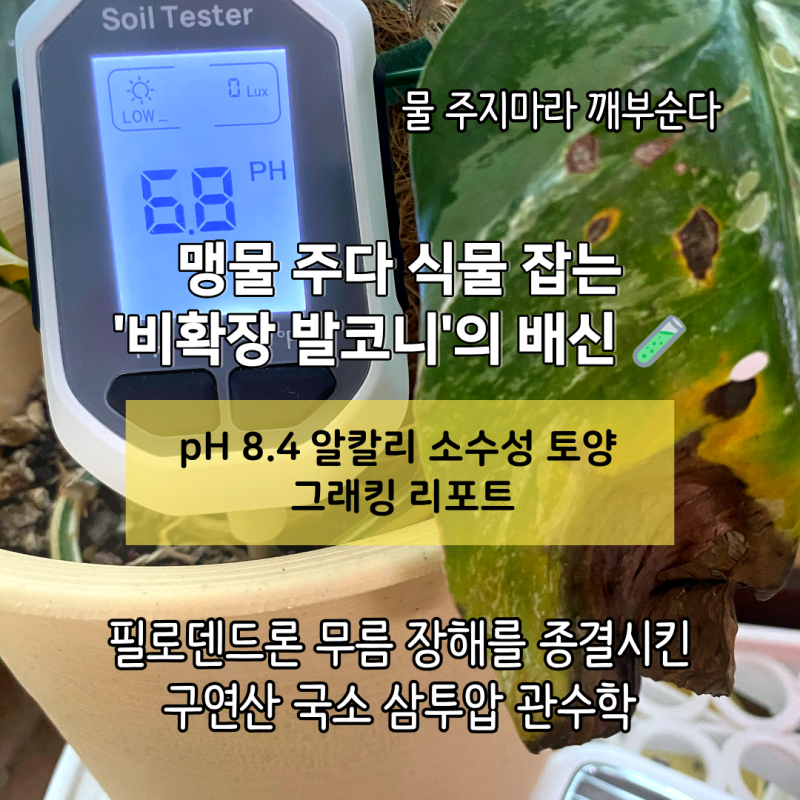 [화분 물주기] 비확장형 발코니의 역설: pH 8.4 소수성 토양을 크래킹하는 구연산 국소 삼투압 ....