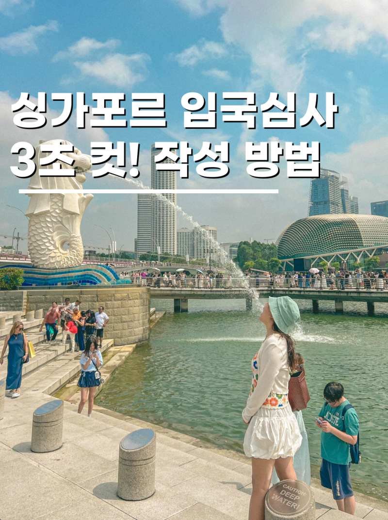 싱가포르 입국 신고서 자유여행 준비 3일전 1분만에 작성