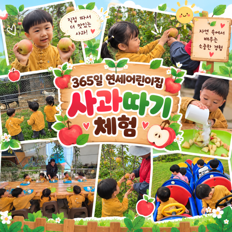 일산 탄현 365일 연세어린이집｜빨갛게 익은 사과를 직접 따요! 신나는 사과따기 농장체험