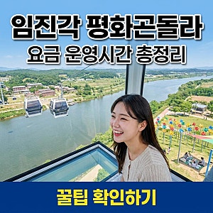 케이블카 타고 북한 뷰 감상 임진각 평화누리공원 평화곤돌라 후기