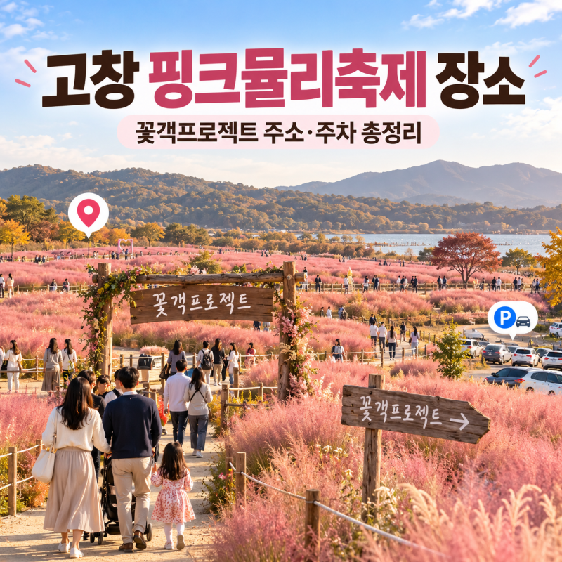 고창 핑크뮬리축제 장소, 꽃객프로젝트 주소·주차·가는길 총정리