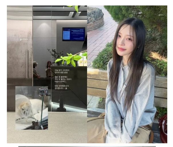 이솔이, '이혼설 종결' ♥박성광 아닌 母와 병원 밤샘 "반려견 고비랬는데, 호흡 좋아져"
