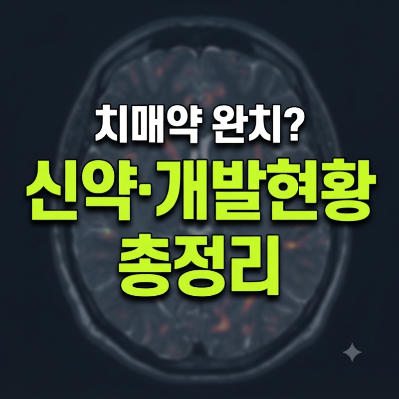 치매 치료제 종류 총정리(+알츠하이머 신약·개발현황·완치 치료제 가능성)