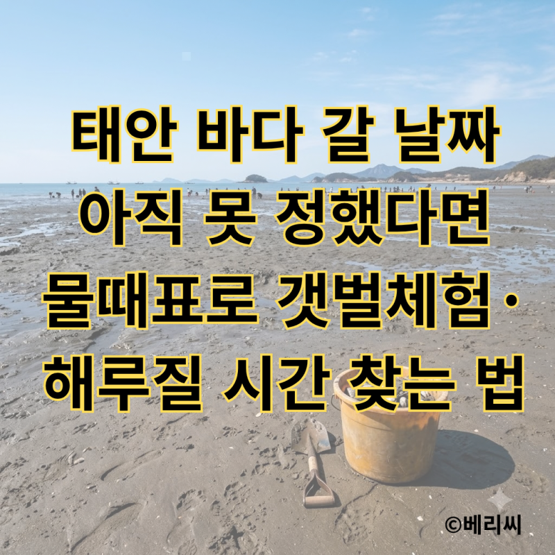 태안 바다 갈 날짜 아직 못 정했다면｜물때표로 갯벌체험·해루질 시간 찾는 법