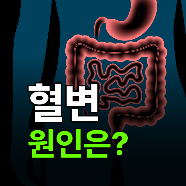 혈변, 그냥 치질일까? 대장암 신호일까? 원인별 감별 포인트