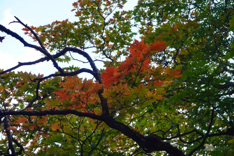 오대산 비로봉 등산 코스｜상원탐방지원센터 출발 주차·소요시간·난이도·화장실·입산제....