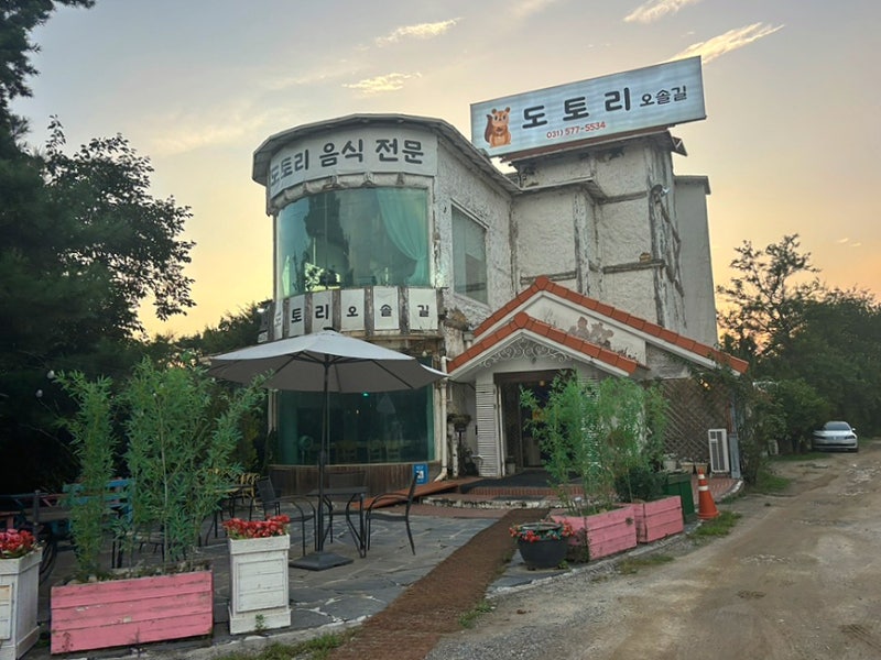 남양주 ‘도토리오솔길 본점’ 단품 메뉴 후기｜부모님 모시고 가기 좋은 팔당 맛집