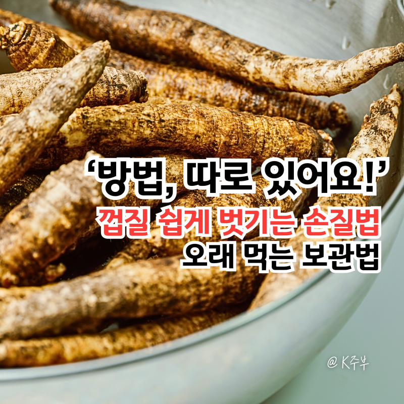 더덕 보관법, "껍질 쉽게 벗기는 손질법 따로 있어요!" 오래먹는 방법