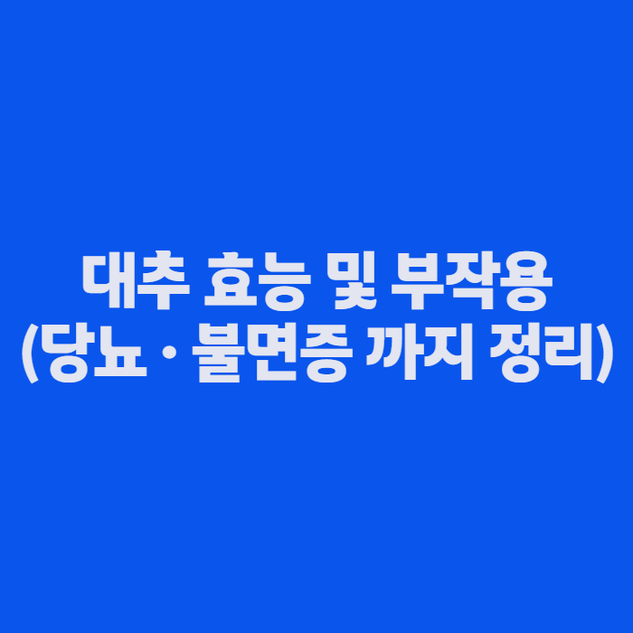 대추 효능 및 부작용, 마른대추와 사과대추 뭐가 다를까 – 당뇨·불면증까지 정리