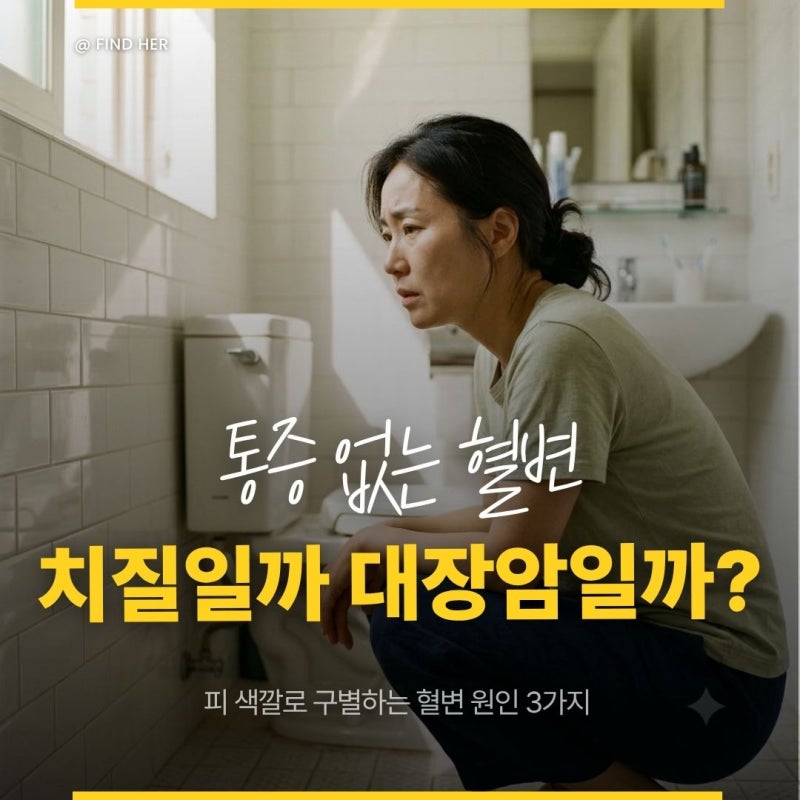 통증 없는 혈변, 치질일까 대장암일까? 놓치면 안 되는 혈변 원인 3가지