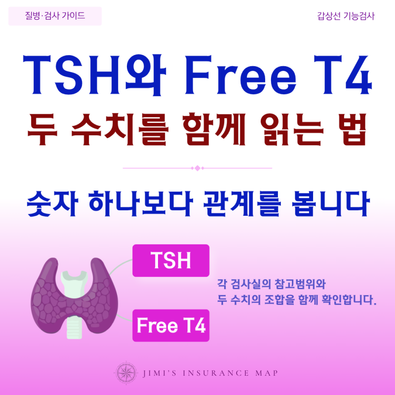 TSH 수치·Free T4 수치, 갑상선 기능검사 결과는 어떻게 함께 읽을까?